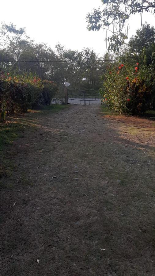Homestay Cabinas Gemelas